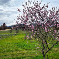 23-03-13 10-51-51 4829